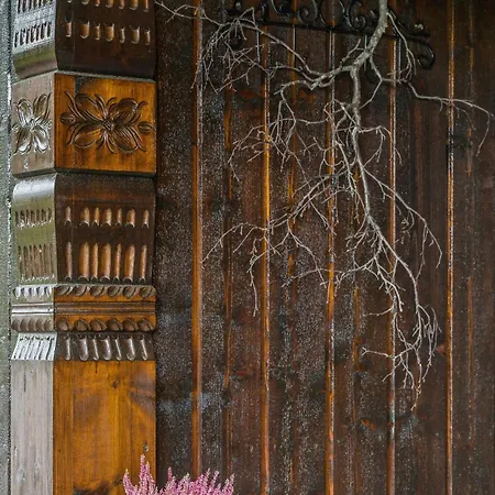 Between Mountain And Forest