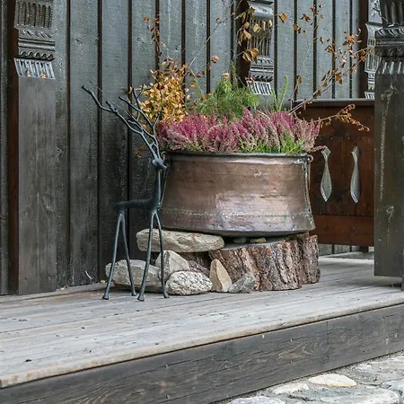 Between Mountain And Forest
