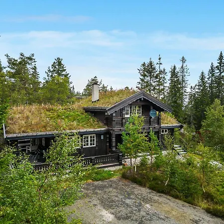 Between Mountain And Forest *